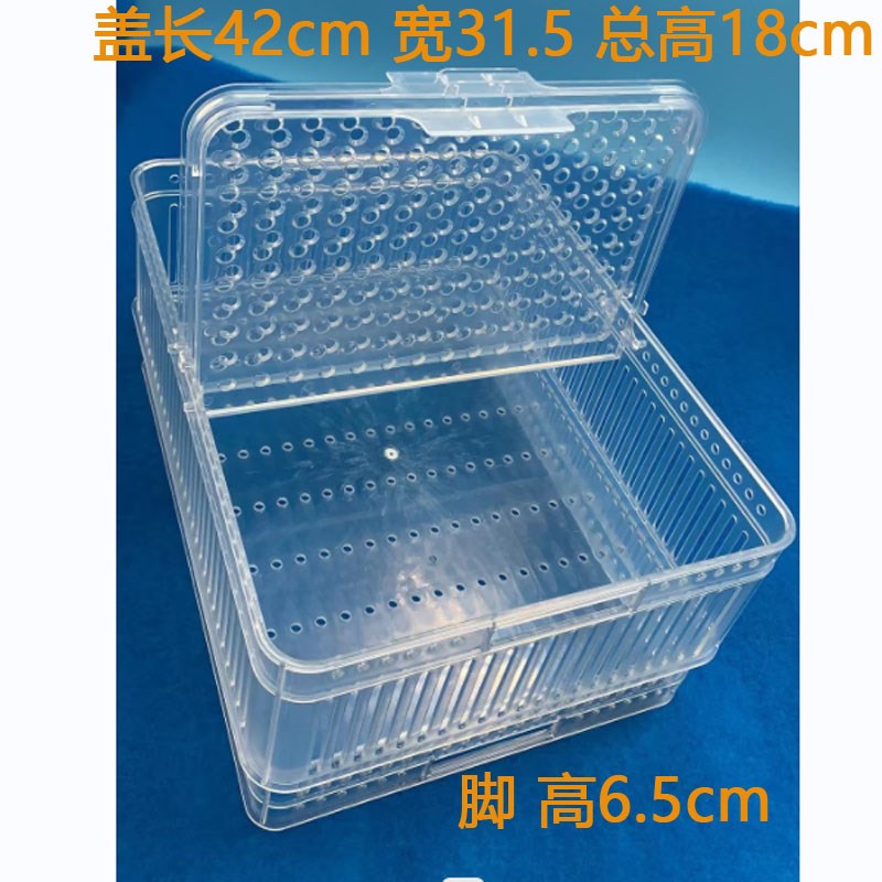 海鲜池养虾筐带盖花蛤盒防跳出透明透气孔漏沙Q篮透明盖花甲盒防