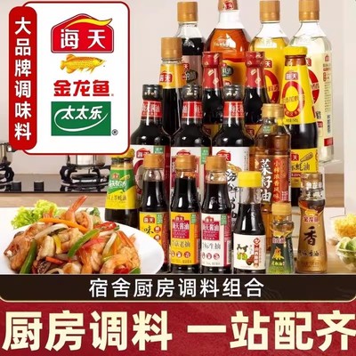 调料组合家庭宿舍厨房调味品