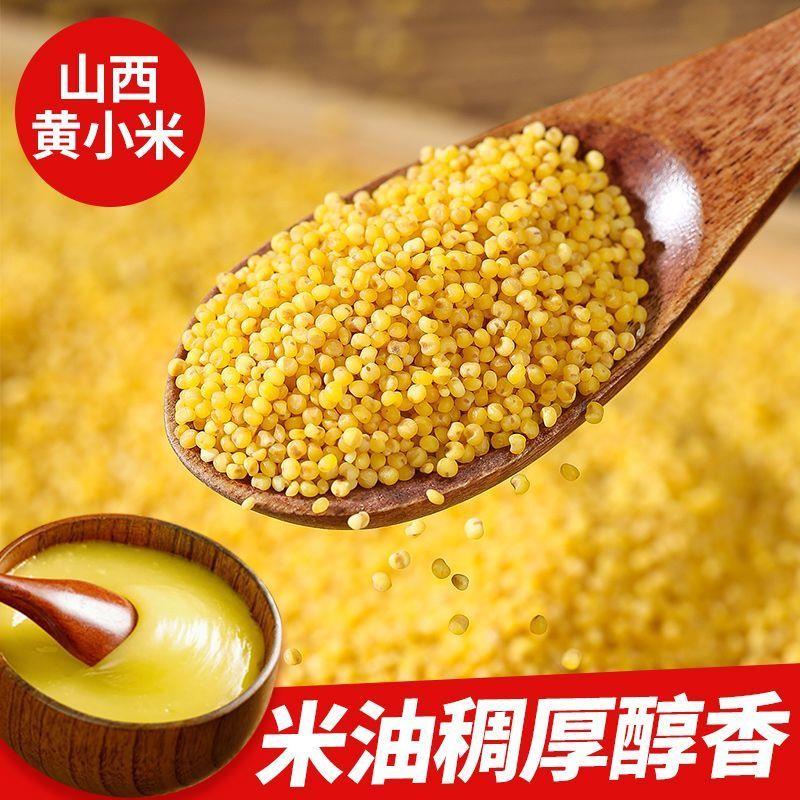 现货5斤正宗山西黄小米D当