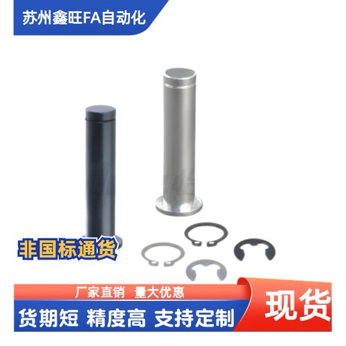 带肩铰链销挡圈固定型g6公差