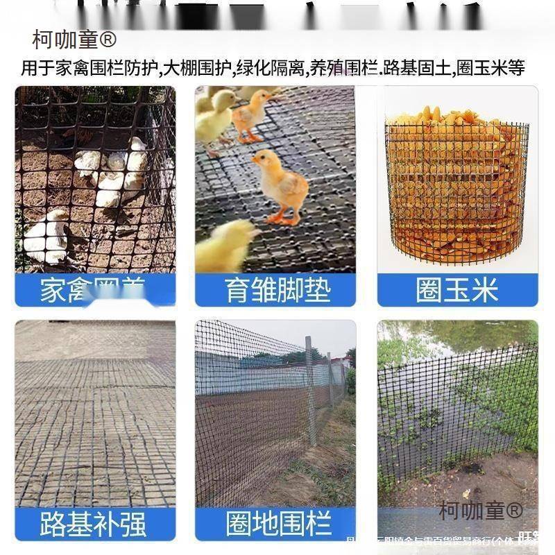 养鸡鸭鹅围养护栏网绿网塑胶种菜鸡圈窝围栏鸡棚围鸭子网养麦太保