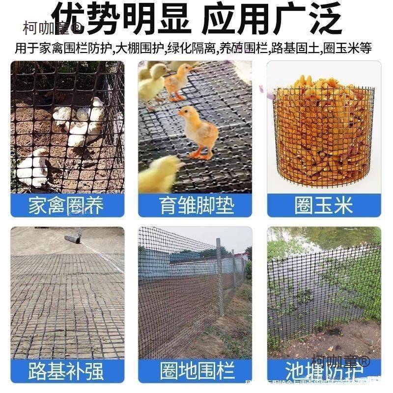 养鸡鸭鹅围养护栏网绿网塑胶种菜鸡圈窝围栏鸡棚围鸭子网养麦太保
