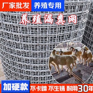 热镀锌钢丝网围栏养殖网铁丝编织网筛网养羊漏粪网羊床钢丝网加粗