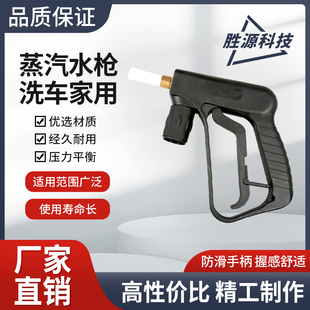 耐高温高压蒸汽洗车机用水枪可携式高压园林全铜高W压蒸汽喷枪头