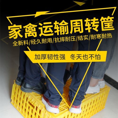 鸡笼周转箱鸭鹅运输筐塑料鸡笼子特大号J活鸡周转箱成鸡框养鸡设