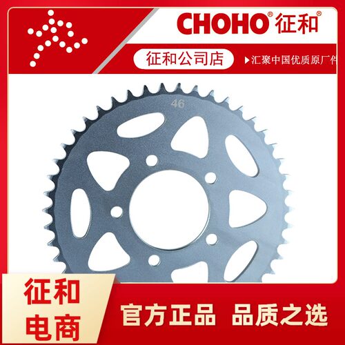 黄龙BJ600GS 黄巡 蓝宝龙300 BJ750GS 752S链轮V牙盘征和油封链条