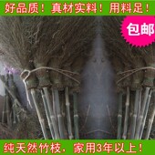 扫马路 环卫扫把 竹扫把 大扫把 大竹扫竹子 竹扫帚扫把 笤帚扫帚