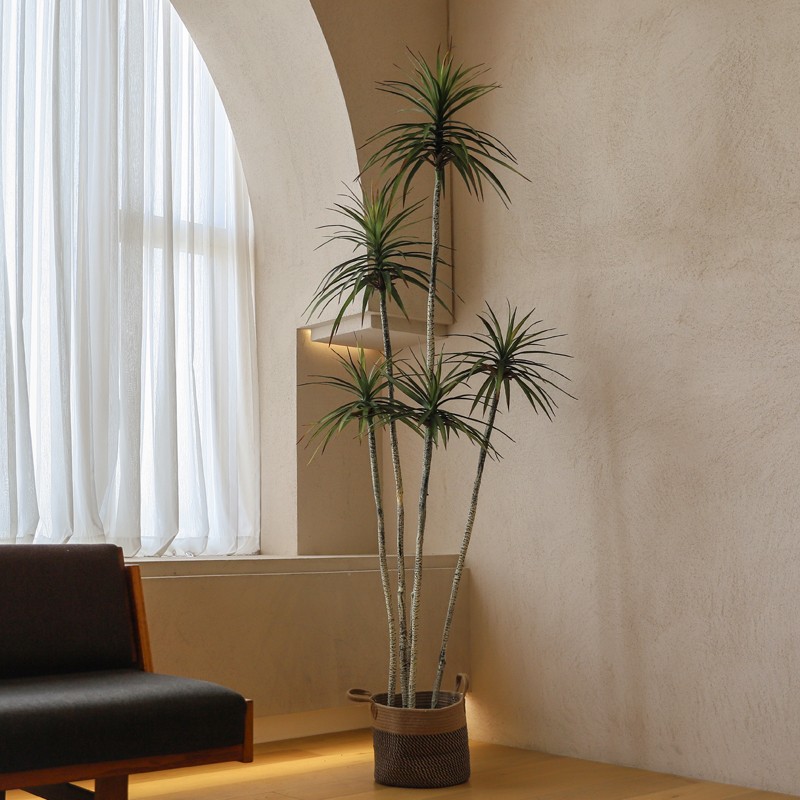森空间仿b生绿植植物盆景客厅盆栽室内侘寂风丝兰树摆件大型龙血