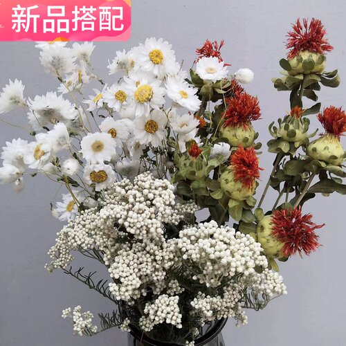 搭配好一束云南干花鲁丹鸟天然真C花桌面花束高档客厅摆设装饰摆