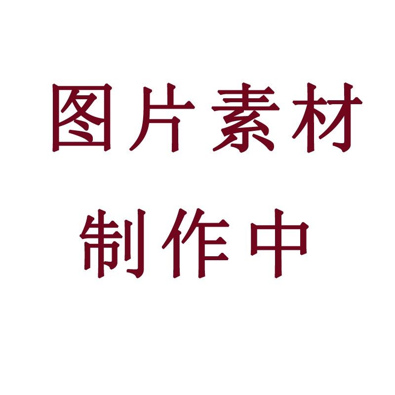 无痕一片式内衣女小胸聚拢大vU美背bra无钢圈收副乳防下垂文胸套