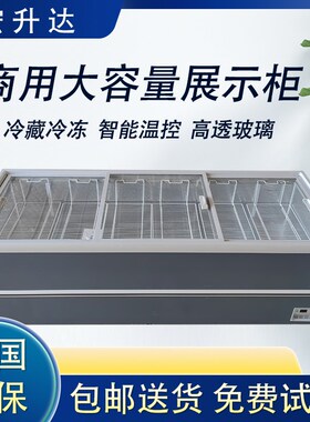 商用冷藏冷冻g展示柜冰柜商用速冻柜雪糕柜保鲜柜铜管大容量冰柜