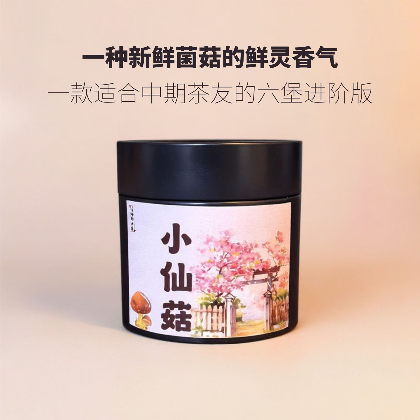 《新品》【小仙菇】2016年广西梧州六堡茶菌菇香陈香木香稠滑汤感