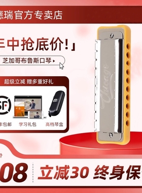 Chicago十孔布鲁斯口琴初学者嘉德瑞芝加哥蓝调10孔C调paddy调音