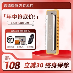 Chicago十孔布鲁斯口琴初学者嘉德瑞芝加哥蓝调10孔C调paddy调音