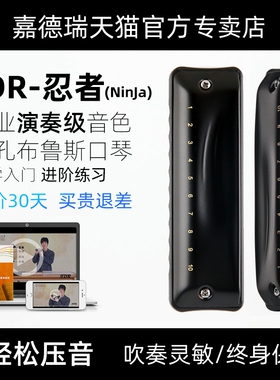 嘉德瑞蓝调十孔口琴布鲁斯NinJa10孔C调忍者初学者入门专业paddy