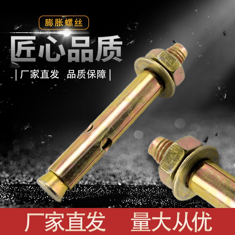 国标整件镀彩锌膨胀螺栓螺丝加长拉爆爆炸螺丝钉外膨胀管M6M20