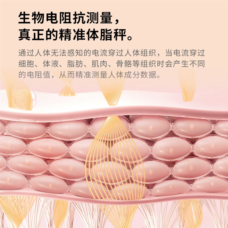 体脂秤智能精准家用电子称重体重体重秤/健康秤/体脂