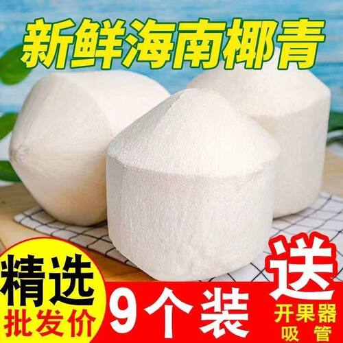 海南椰青丨纯天然无添加椰子水
