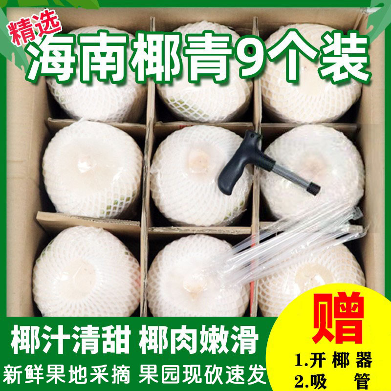 海南椰青丨商超品质回头客多