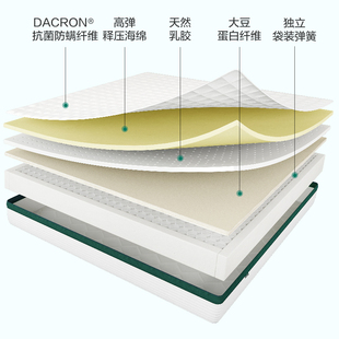 八益床垫全拆可水洗 大豆蛋白纤维乳胶厚垫独立弹簧席梦思护脊椎