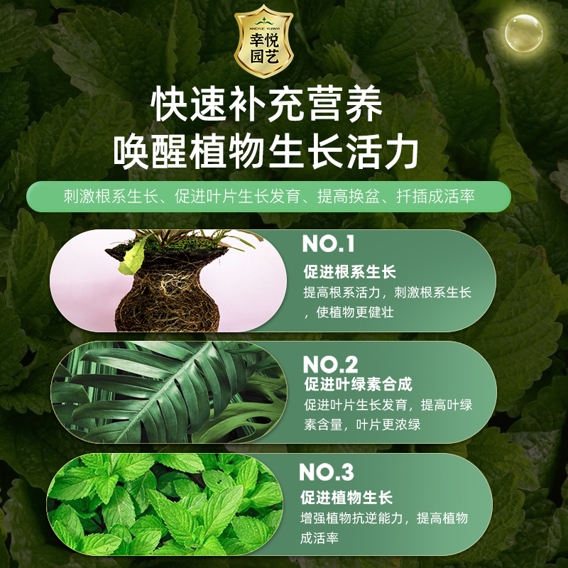 薄荷专用缓释肥复合肥家用型控释颗粒植物盆栽绿植花卉养花肥料