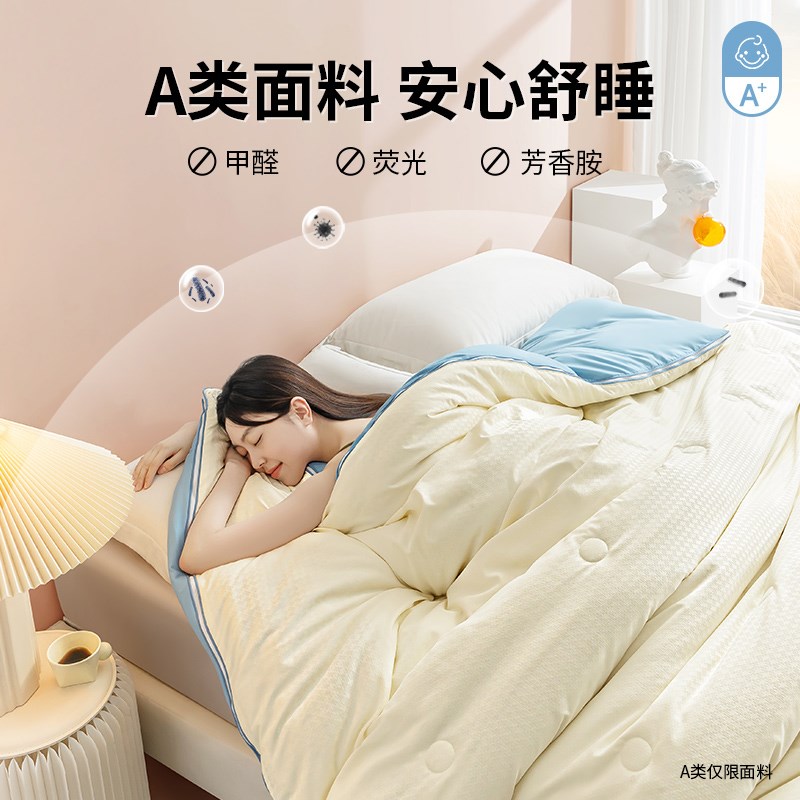 子母被二合一拉链款被子冬被2023新款冬季加厚保暖儿童秋冬棉被芯