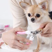 猫咪指甲剪专用狗狗磨甲器萨摩耶宠物用品中小型犬猫用猫爪修剪刀