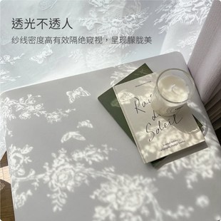 法式窗纱帘透光不透人2024新款客厅阳台飘窗薄纱少女田园风遮挡帘