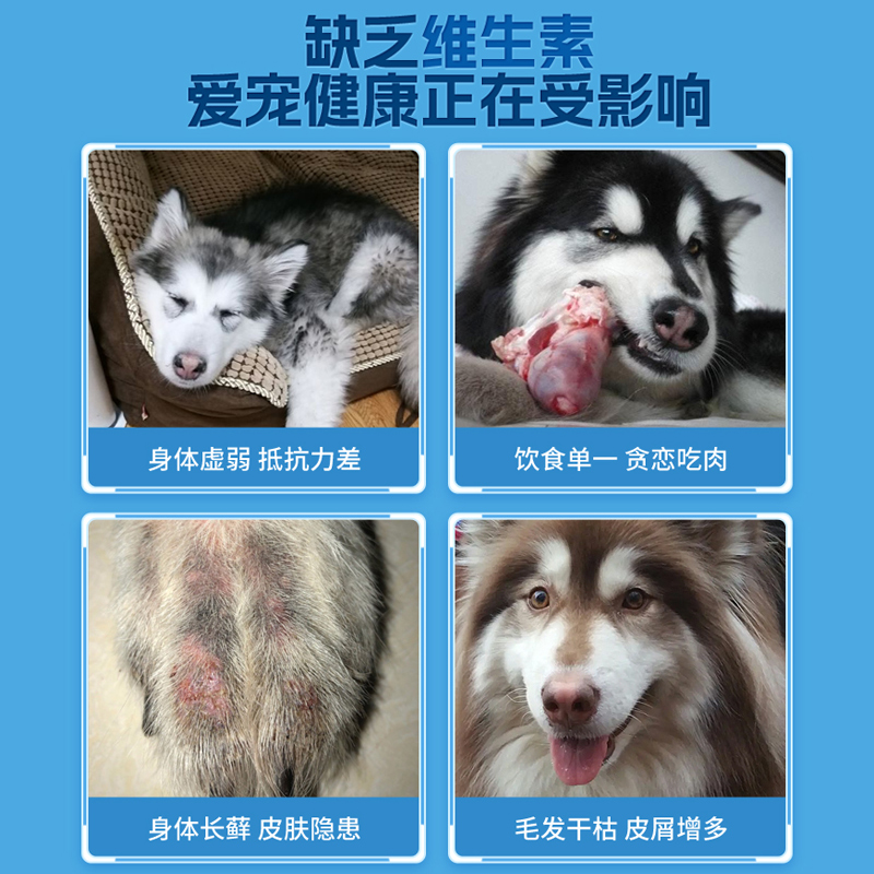 阿拉斯加维生素片大型犬狗狗用品宠物补充维生素B营养品零食