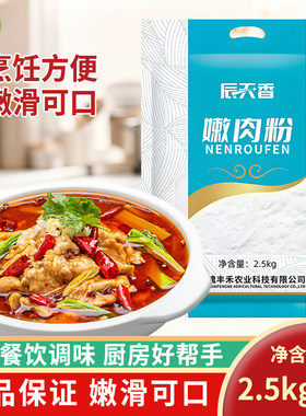 辰天香嫩肉粉2.5kg袋装商用家用食用腌制烧烤厨房好帮手烹饪方便