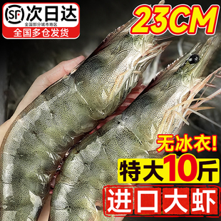 大虾鲜活冷冻青岛特大号生海鲜基围虾厄瓜多尔盐冻白对虾水产王牌