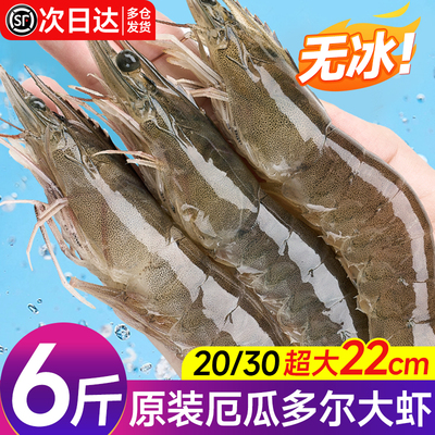 厄瓜多尔白虾南美大虾无冰2030