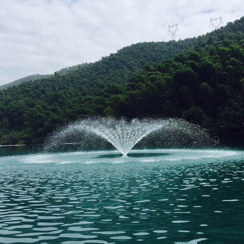 臣源喷水式增氧浮水泵鱼塘增氧泵池塘养殖排水灌充水Q产(220V/550