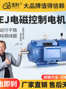 铜芯Y2EJ电磁制动三相异步电动机38G0V失电刹车电机铜线马达带抱