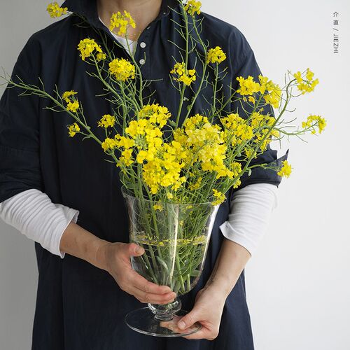 介直 Big Vase高透玻璃大号花瓶 法式中M古感鲜切插花透明家居摆