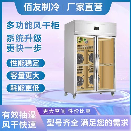 佰友晾鸭柜晾胚柜智能烧腊柜烧z鸭风干柜脆皮柜冷藏双门不锈钢商
