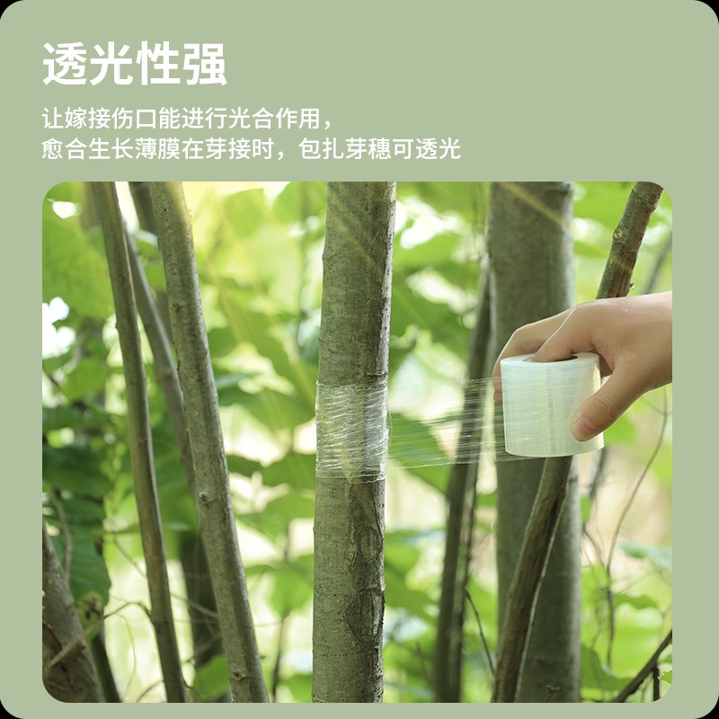 嫁接膜专用膜缠绕膜自粘式果树pe塑料薄膜免拆高弹力包扎嫁接胶带