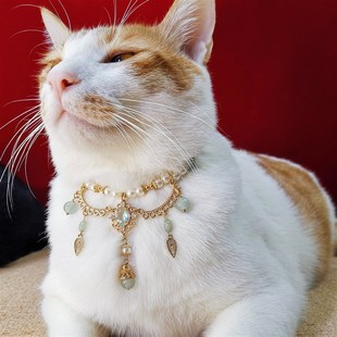 新国风猫咪项圈德文猫围脖狗狗项链阿比猫咪项链比熊泰迪宠物项链