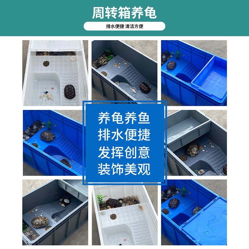 一体式加厚养龟箱带排水龟缸家用养殖饲养箱特大号造景龟池龟盆子,宠物/宠物食品及用品,龟缸,淘宝优惠券,粉丝福利购,淘宝优惠卷