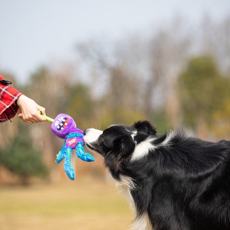 GiGwi贵为狗狗玩具怪兽人毛绒绳结玩具耐咬磨牙宠物玩具发声
