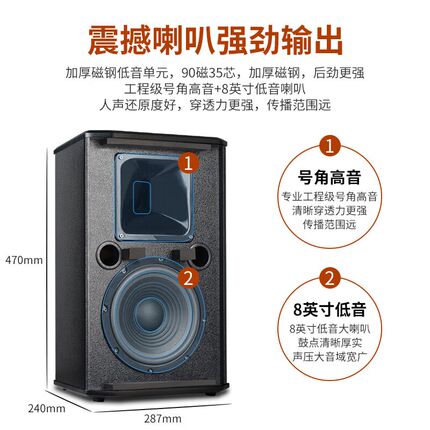 狮乐AV-108会议室 蓝牙功放音响套装 大功率一拖二无线话筒