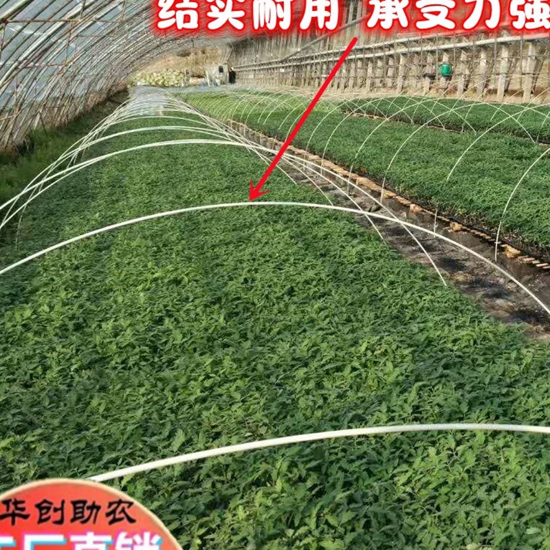 农用玻璃纤维杆水稻育苗小拱棚菜棚保温棚花棚支架玻璃钢弹力棒