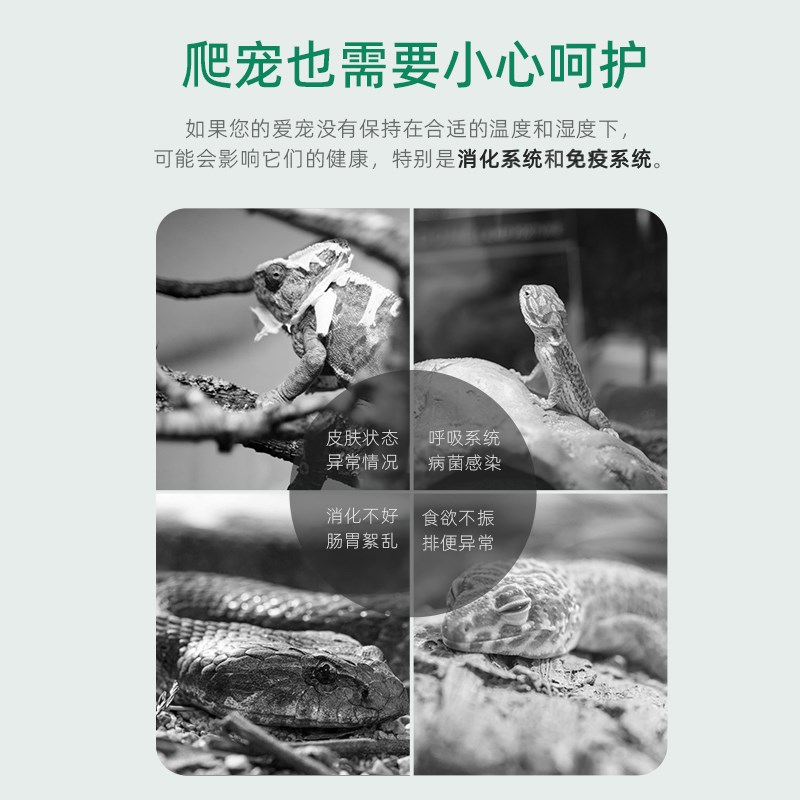 瑞皮Reptizoo玩酷爬宠电子温湿度计吸盘式蛇守宫角蛙变色龙饲养箱