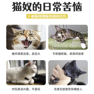 猫薄荷喷雾喵喵快乐水虫瘿果喷雾可食用高纯度茶包诱猫神器诱导剂