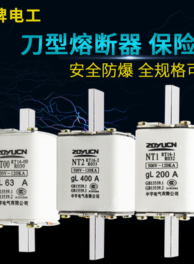 熔断器熔芯保险丝NT00 RT16GL 63A 80A 160A陶瓷熔断体刀形触头