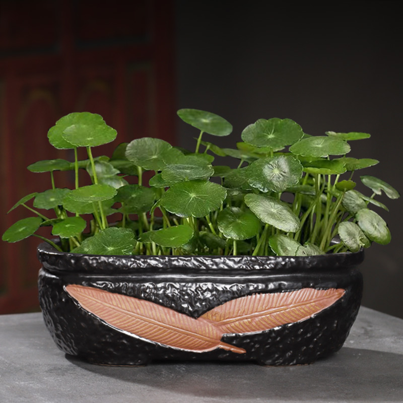 水仙花多肉花盆陶瓷无孔铜钱草碗莲睡莲仿石头大号绿萝水培植物盆