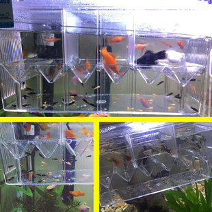 繁殖缸鱼苗孵化盒斗鱼隔离孔雀鱼繁殖鱼缸孵化热带鱼幼鱼产房特大