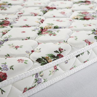 玉凤床垫3D天然椰棕垫席梦思乳胶硬床垫棕榈床垫1.5m1.8米床 定制