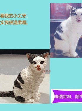 手工照片定制宠物猫咪纪念品摆件软陶动物模型去世纪念礼物订制