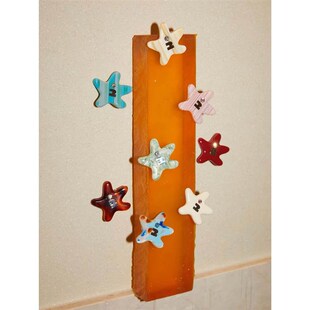 不上班了 Tagi《塔皮星》彩色刘海夹多色海星头饰边夹发夹发卡